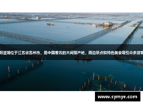 阳澄湖位于江苏省苏州市，是中国著名的大闸蟹产地，周边景点和特色美食吸引众多游客