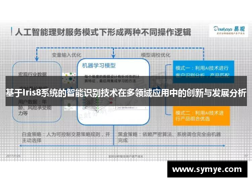 基于Iris8系统的智能识别技术在多领域应用中的创新与发展分析